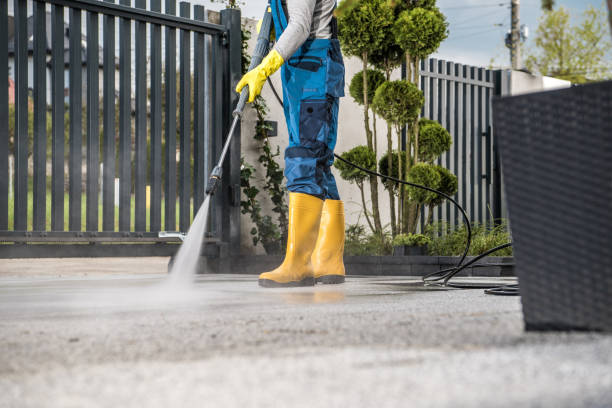 Best Affordable Pressure Washing  in Olivia, MN