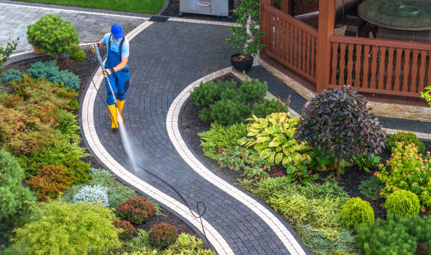 Best Affordable Pressure Washing  in Olivia, MN